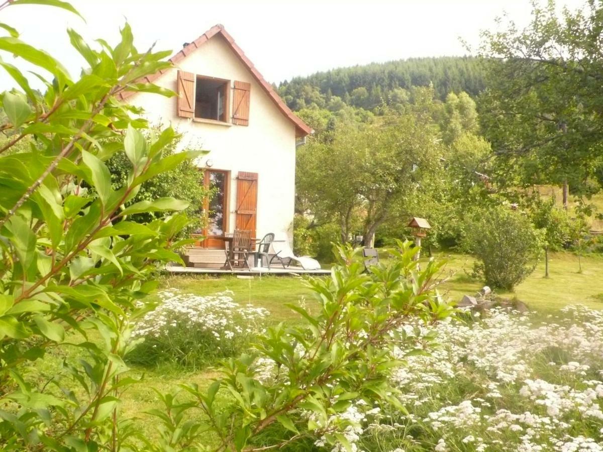 Maison Independante De Montagne En Alsace Bellefosse Exterior photo